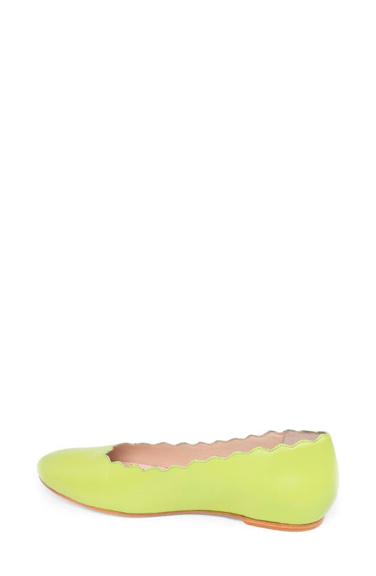Shop Patricia Green Palm Beach Scalloped Ballet Flat In Lime