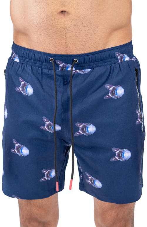 Maceoo Lion Frenchie Gum Swim Trunks Blue at Nordstrom,