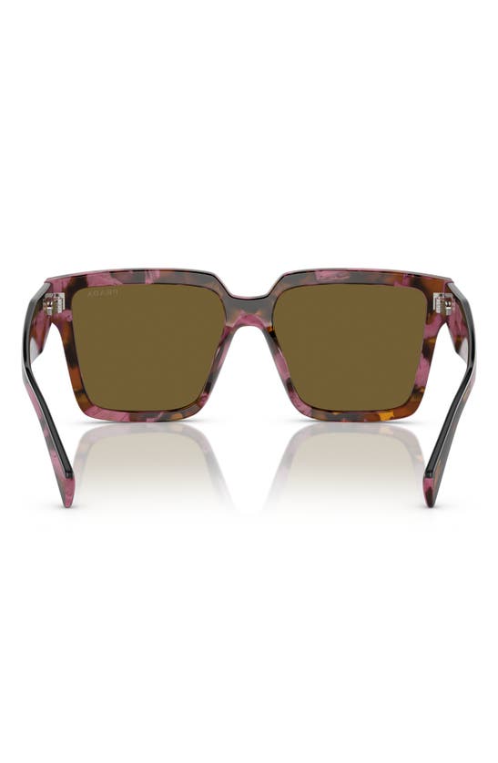 Shop Prada 56mm Square Sunglasses In Dark Brown