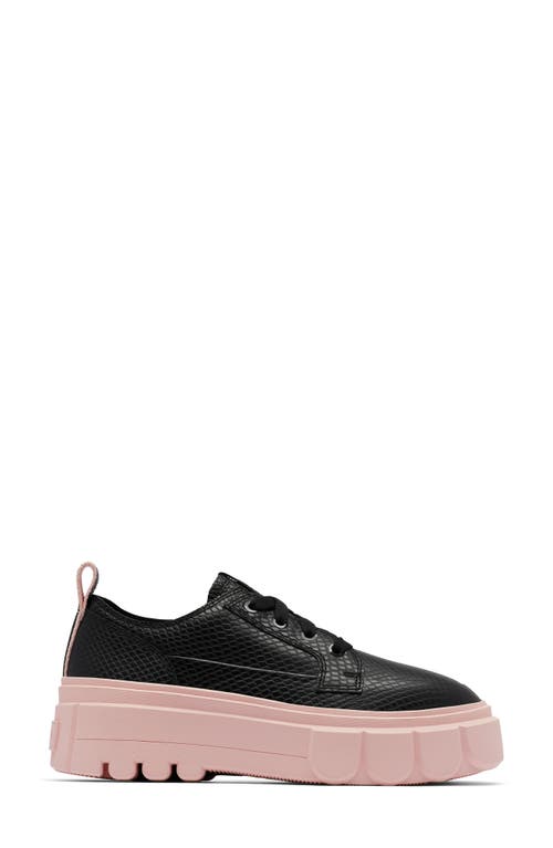 Shop Sorel Caribou X Waterproof Platform Sneaker In Black/vintage Pink