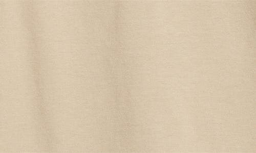 Ag Bryce Long Sleeve Henley Shirt In Dry Dust