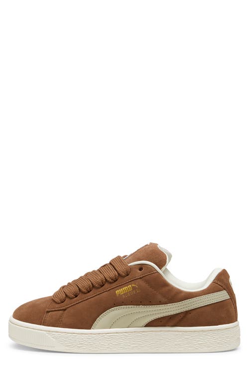 Shop Puma Suede Xl Sneaker In Haute Coffee-desert Dust