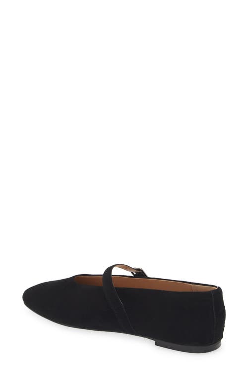 Shop Steve Madden Dreaming Mary Jane Flat In Black Suede