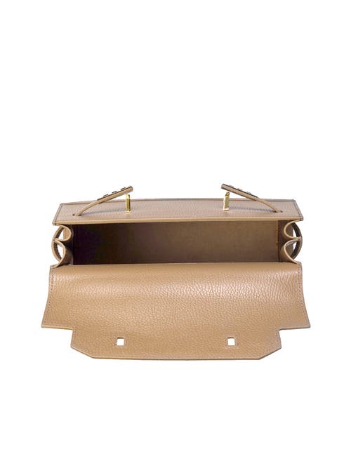 Teddy Blake Kim Stampato 11" In Tan