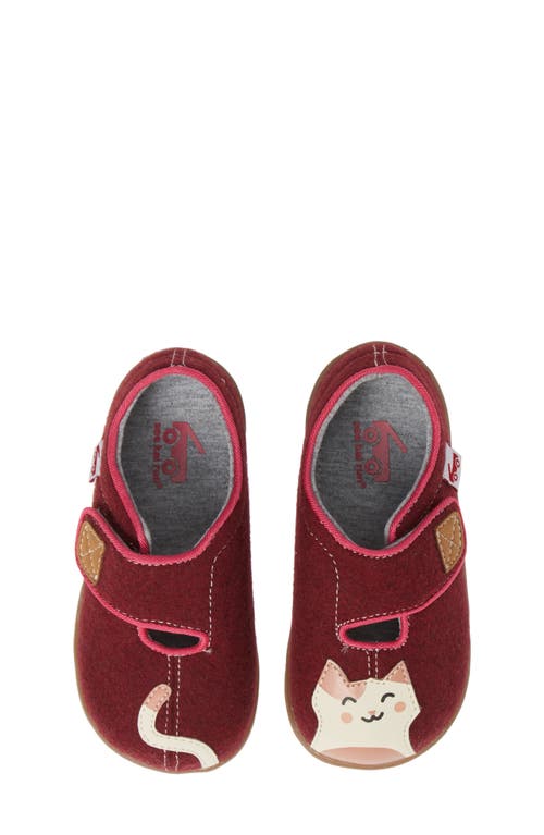 See Kai Run Cruz Slipper in Berry Kitty at Nordstrom, Size 5 M