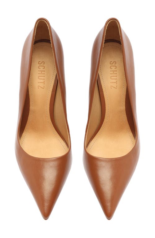 Schutz Lou Pointed Toe Pump In Wood