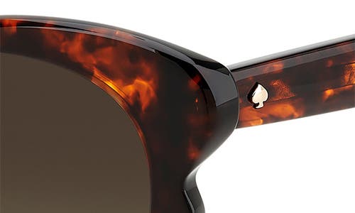 Kate Spade New York Paisleigh 55mm Gradient Cat Eye Sunglasses In Havana/brown Gradient