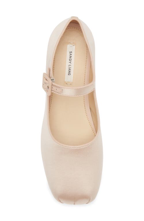 Sandy Liang Ssense Exclusive Pink Mary Jane Pointe Ballerina Flats In Ballet Satin