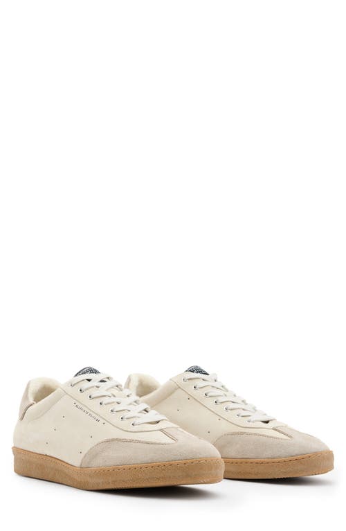 Leo Suede Low Top Sneaker in Parchment White