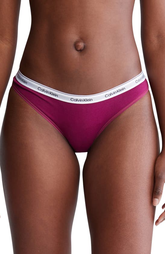 Calvin Klein Assorted 3-pack Logo Bikinis In Purple
