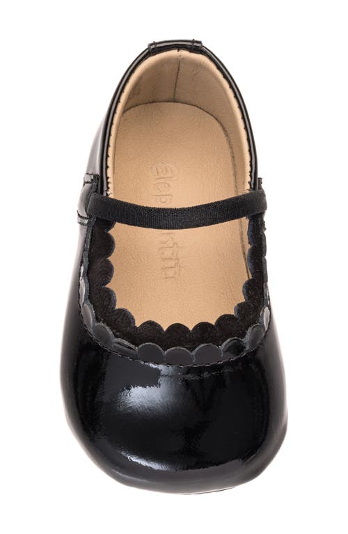 Elephantito Ava Ballet Flat In Patent Black