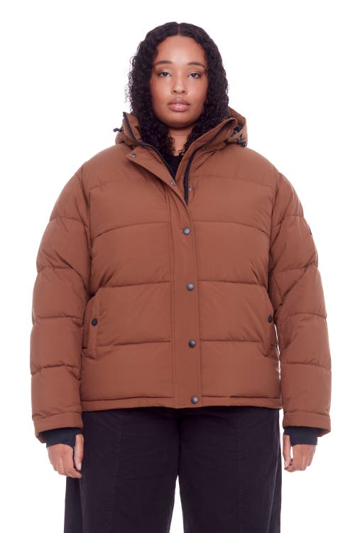 Alpine North Forillon Plus Women's Vegan Down (recycled) Short Quilted Puffer Jacket (plus Size) In Maple