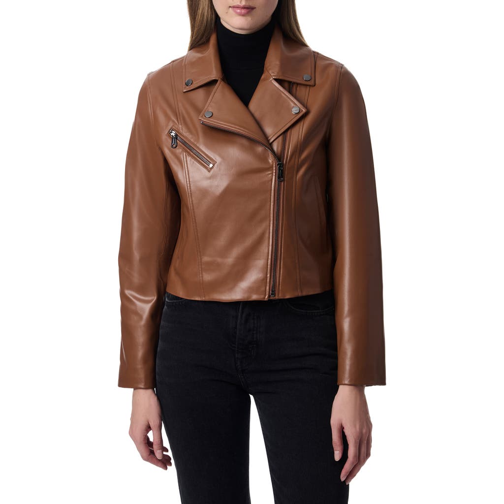 Bernardo Faux Leather Moto Jacket In Dark Camel