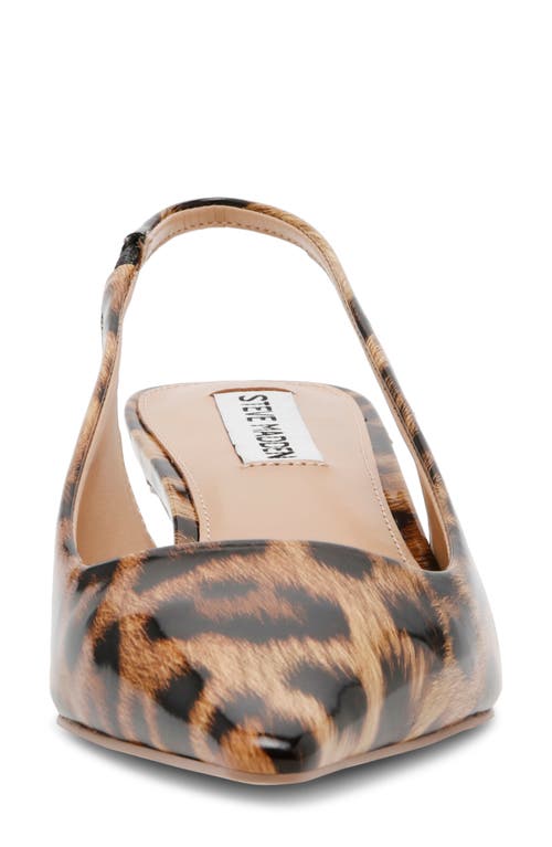 Shop Steve Madden Kari Pointed Toe Kitten Heel Slingback Pump In Leopard