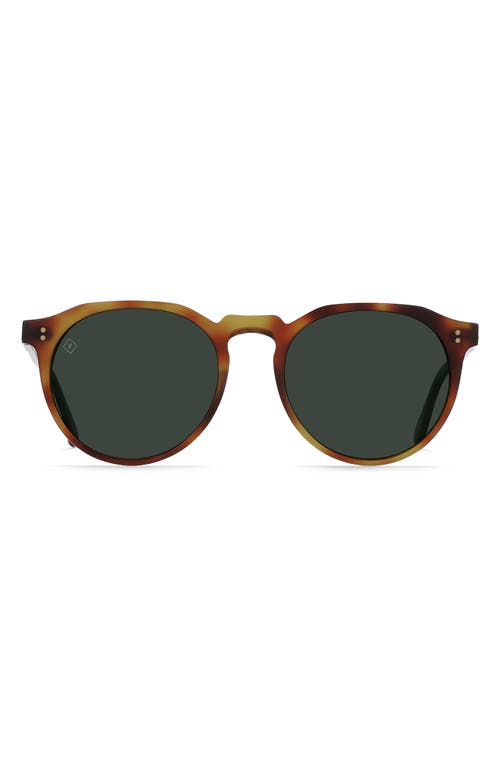Remmy Polarized Round Sunglasses in Split Finish Moab/Green Polar