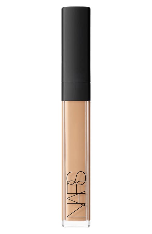 UPC 607845012351 product image for NARS Radiant Creamy Concealer in Ginger at Nordstrom, Size 0.22 Oz | upcitemdb.com