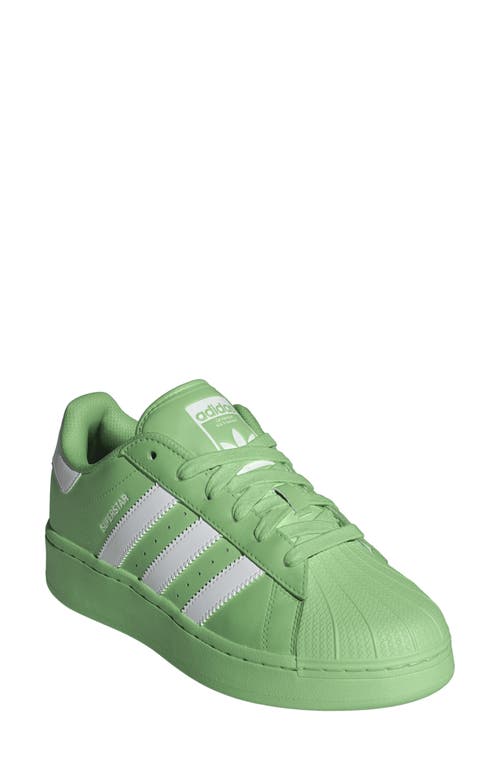 adidas Superstar XLG Sneaker in Green/White/Green Spark at Nordstrom, Size 9.5