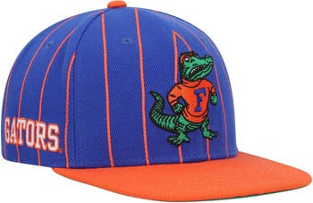 Mitchell & Ness Royal Florida Gators Team Pinstripe Snapback Hat