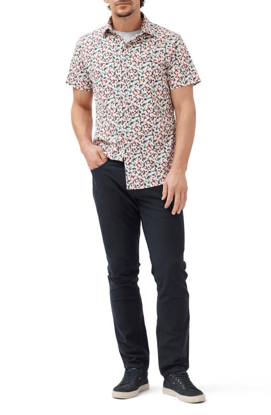 Rodd & Gunn Hillmorton Sports Fit Print Short Sleeve Cotton Button-up Shirt In Dusty Pink