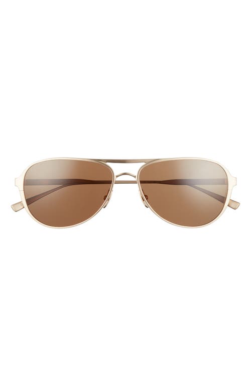 Barrett 60mm Polarized Aviator Sunglasses in Brushed Honey Gold/Brown