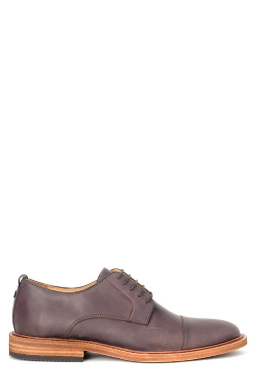 Warfield & Grand Plain Toe Leather Oxford In Dark Brown