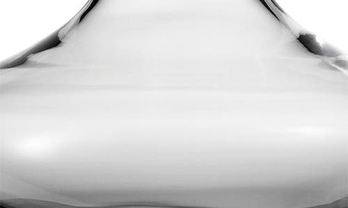 FORTESSA FORTESSA SCHOTT ZWIESEL INVENTO WINE DECANTER & GLASS SET