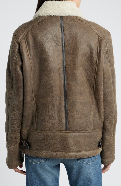 Schott Nyc Genuine Shearling Lined Bomber Jacket In Brown