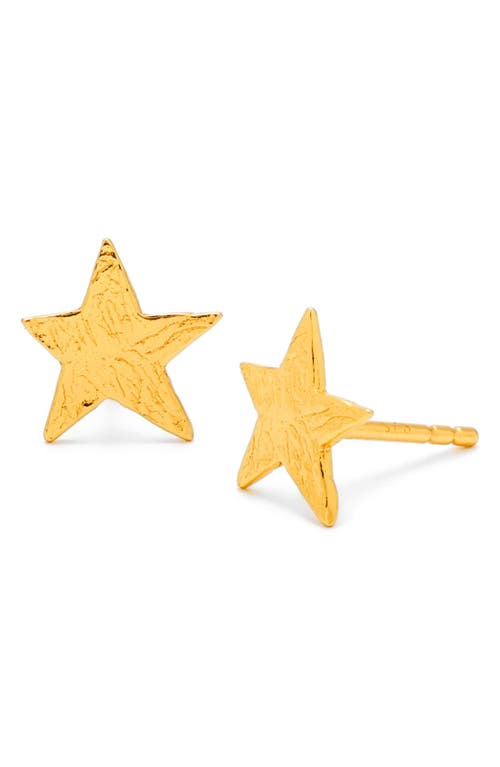 gorjana Star Stud Earrings in Gold