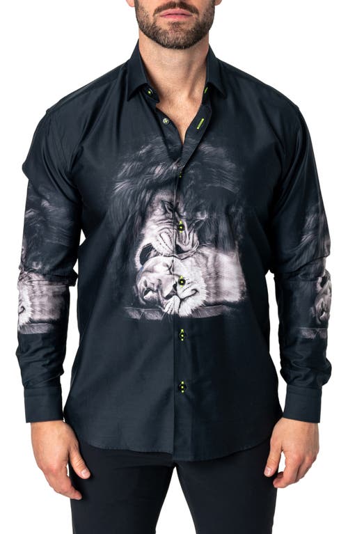 Maceoo Fibonacci Love Lion Cotton Button-Up Shirt Black at Nordstrom,