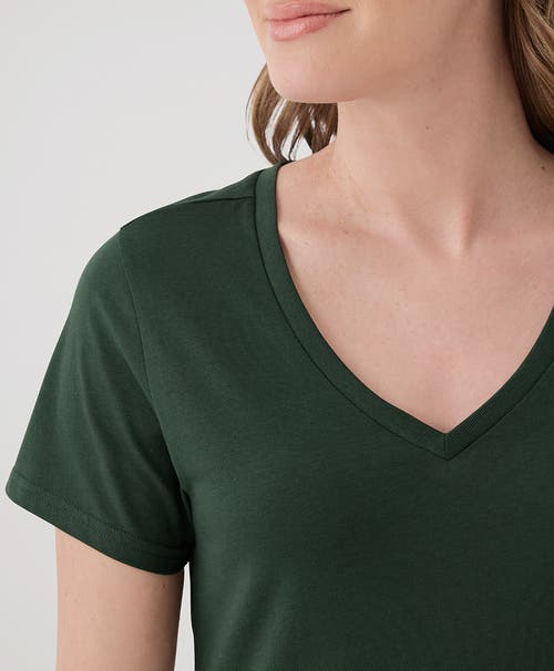 Shop Pact Organic Cotton Softspun V-neck Tee In Mountain View