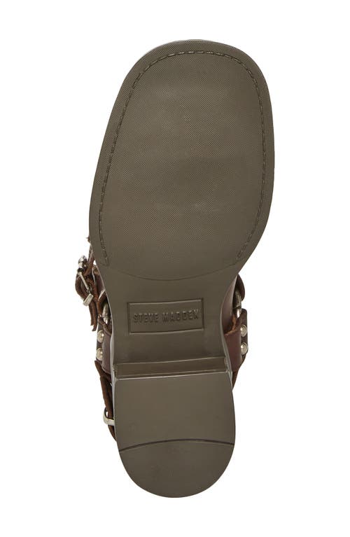 Steve Madden Astor Knee High Moto Boot In Brown