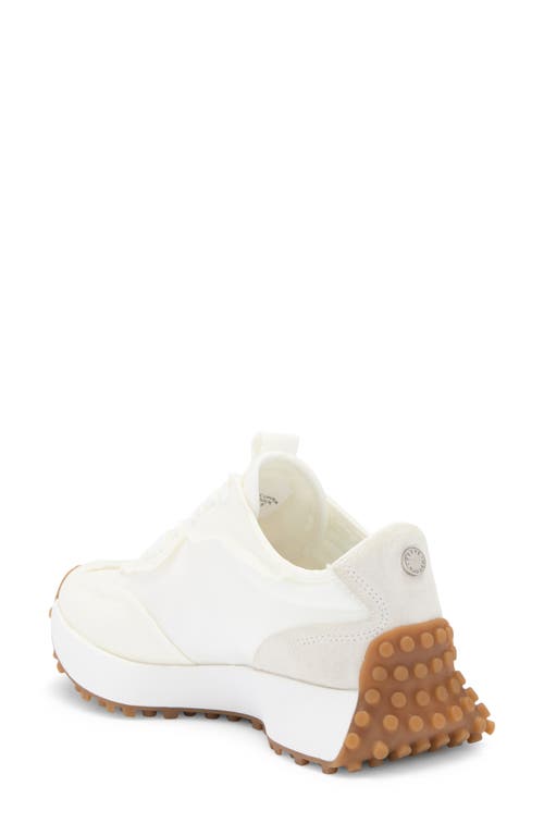 Shop Steve Madden Campo Sneaker In White