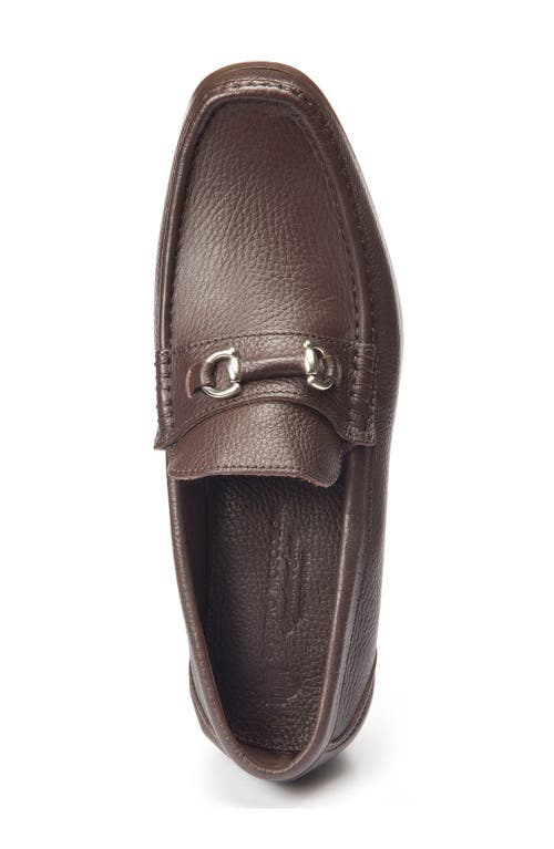 Shop Sandro Moscoloni Garda Bit Loafer In Brown Leather