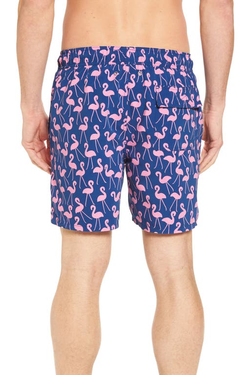 Tom & Teddy Flamingo Print Swim Trunks In Rose & Blue
