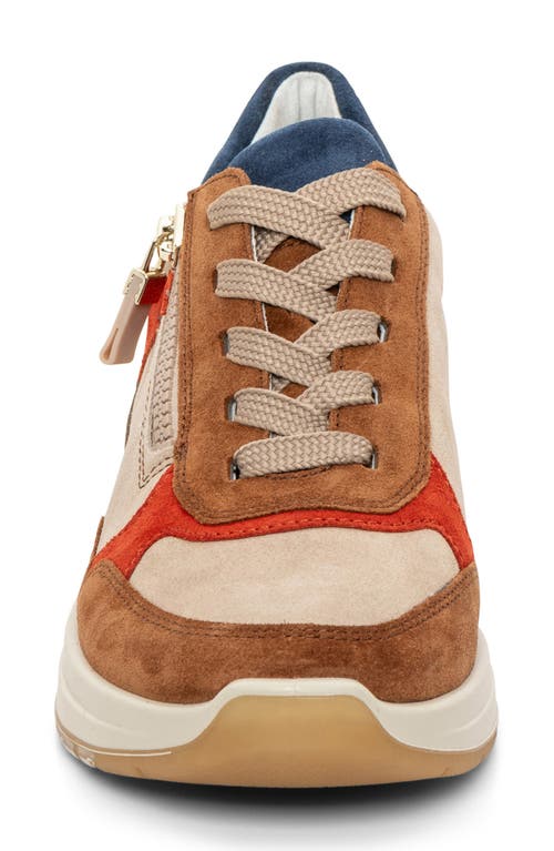 Shop Ara Gardenia Wedge Sneaker In Nuts/sand Pump/sesame