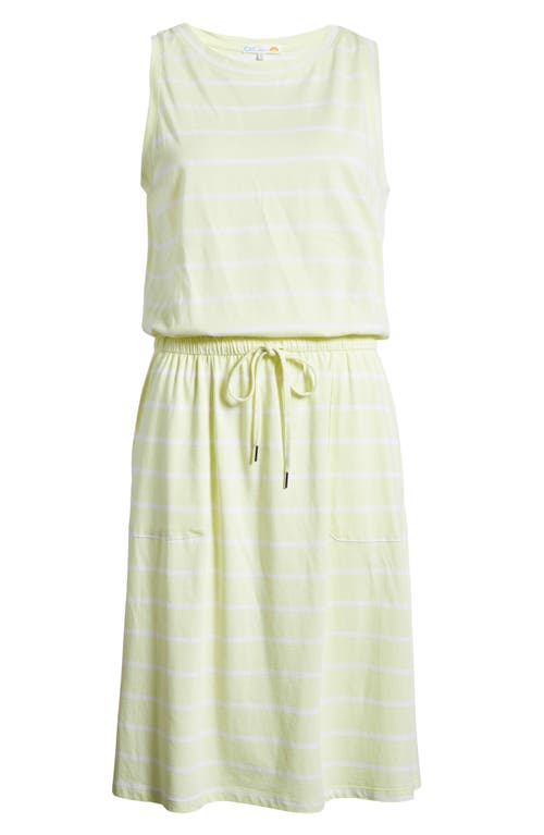 Shop C&c California C & C California Ira Sleeveless Cotton Blend Drawstring Belt Dress In Green Stripe