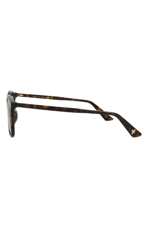 Gucci 53mm Round Oval Sunglasses In Havana Havana Green