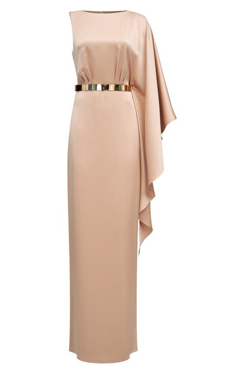 Shop Halston Rhiannon Belted Satin Column Gown In Tan Beige