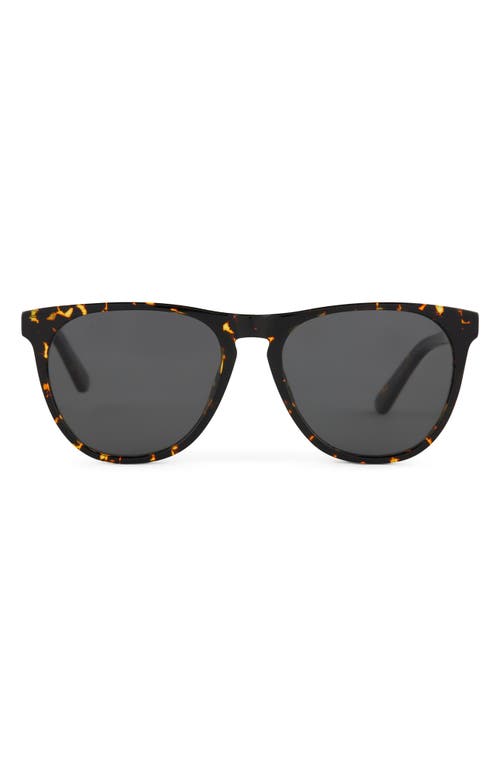 Darren 55mm Polarized Round Sunglasses in Brown Multi