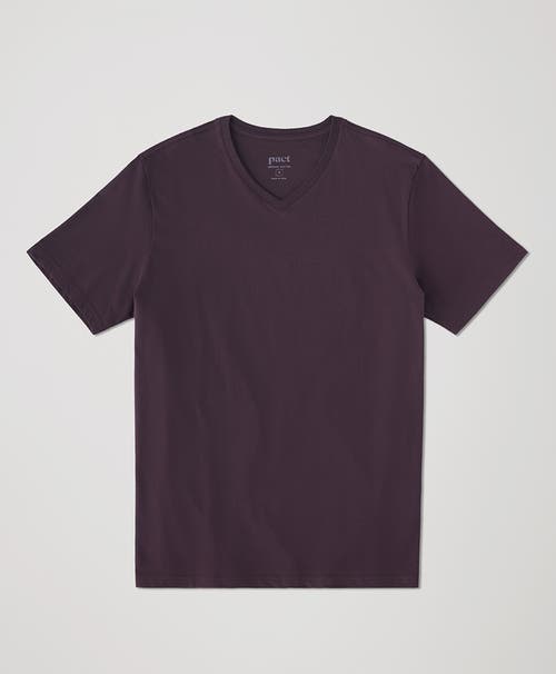 Shop Pact Organic Softspun V-neck Tee In Plum