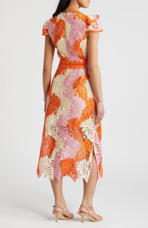 Shop Adelyn Rae Adeline Palm Lace Midi Dress In Orange/pink/cream