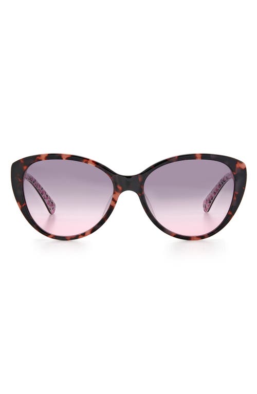 Kate Spade New York Visalia 55mm Gradient Cat Eye Sunglasses In Brown