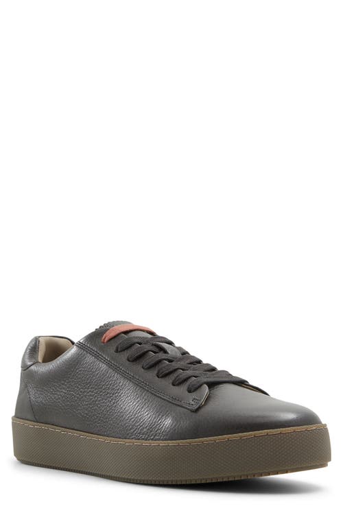 Shop Ted Baker Westwood Sneaker In Dark Brown