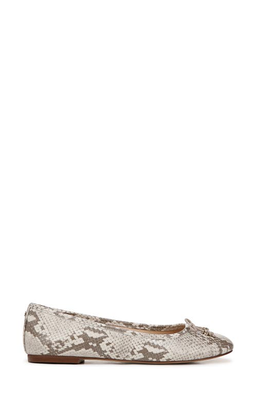 Shop Sam Edelman Flora Ballet Flat In Roccia