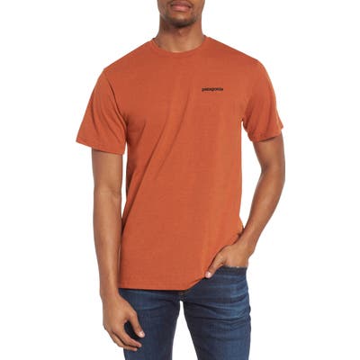 Patagonia Responsibili-Tee T-Shirt, Brown