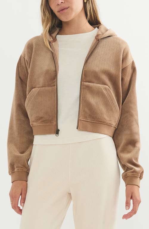 Shop Marine Layer Corded Velour Crop Hoodie In Toffee