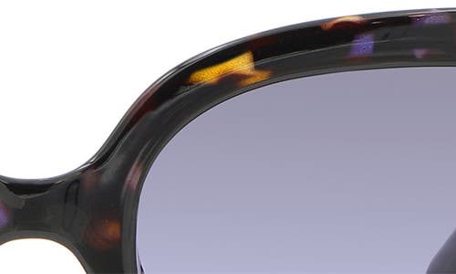 Kate Spade New York Shaina 56mm Oversize Square Sunglasses In Blue Havana/grey Fuschia Ms