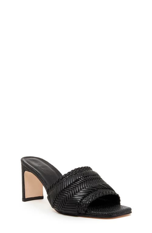 Shop Daniella Shevel Monaco Pump In Black