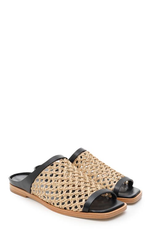 Daniella Shevel Alba Sandal In Black
