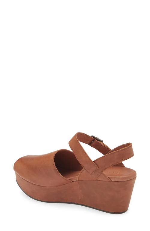 Shop Chocolat Blu Wagga Platform Wedge Sandal In Brown Leather